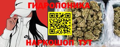 стаф Обнинск