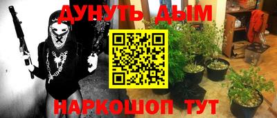 спайс Новодвинск