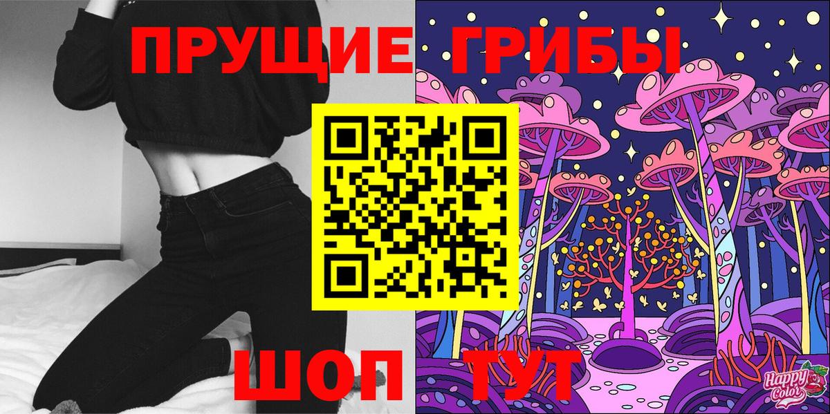 Артём  Псилоцибиновые грибы Psilocybine cubensis  Вход с VPN 